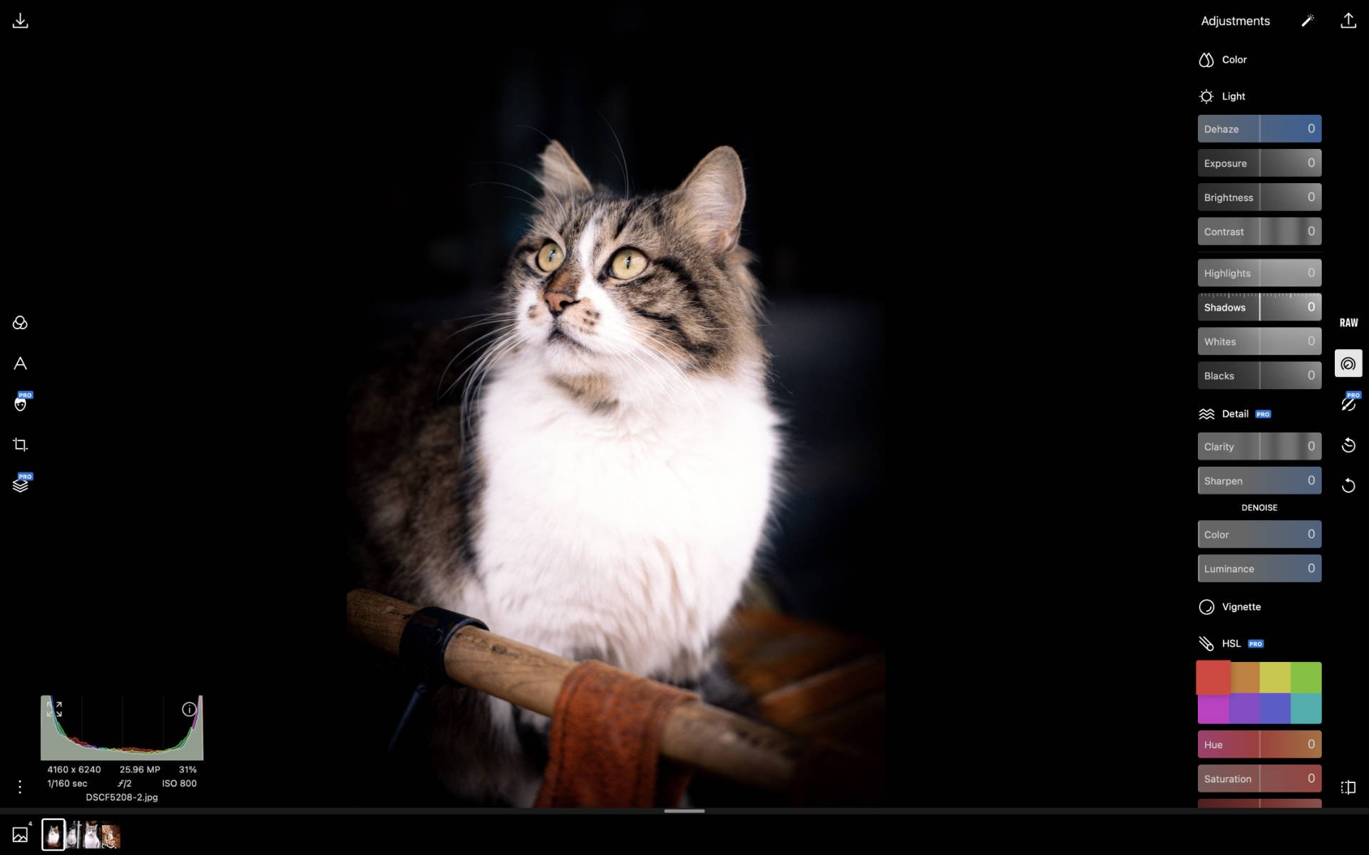 polarr photo editing software